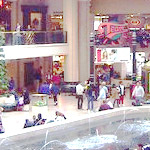 retail studies level 5