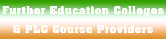 plc and further education colleges in Ireland