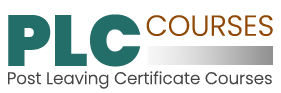 PLC Courses Ireland